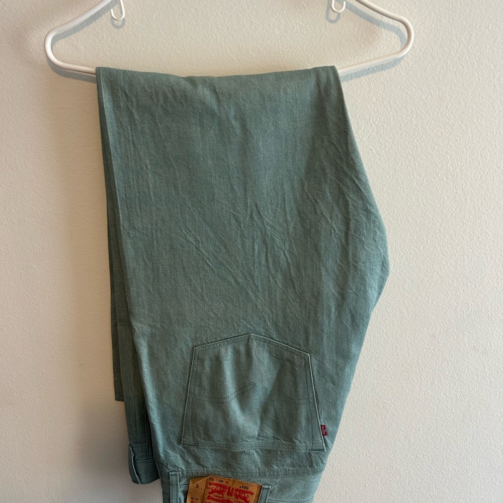 Levi's Sage Green Denim Pants